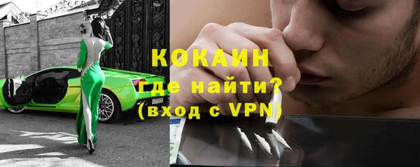 молекула духа Осташков