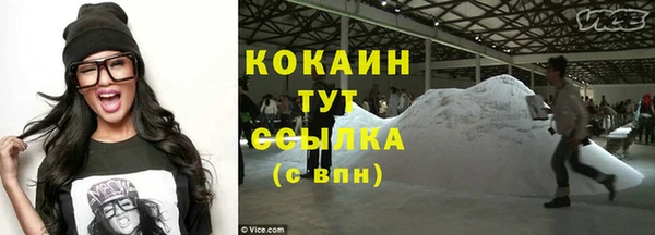 молекула духа Осташков