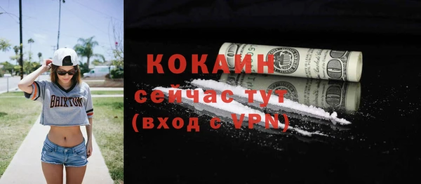 молекула духа Осташков