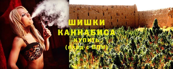 молекула духа Осташков