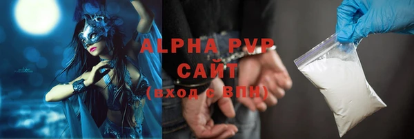 молекула духа Осташков