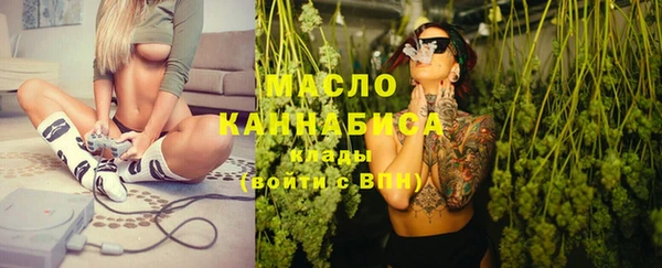 молекула духа Осташков