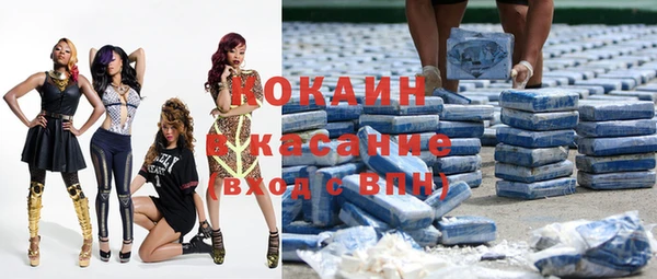 стафф Няндома