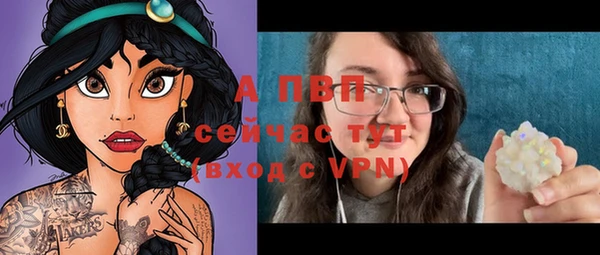 молекула духа Осташков
