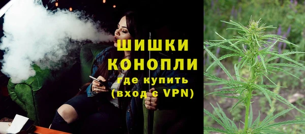молекула духа Осташков