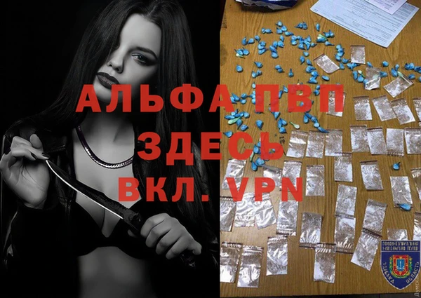 молекула духа Осташков
