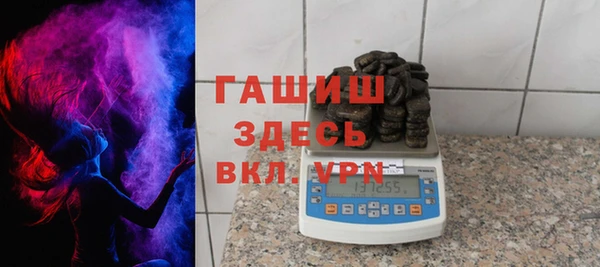 молекула духа Осташков