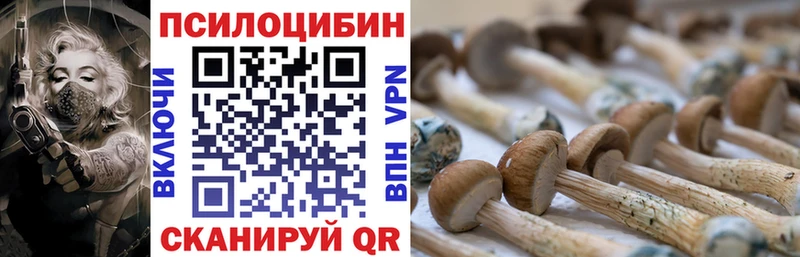 Псилоцибиновые грибы Psilocybine cubensis  где купить наркоту  Руза 